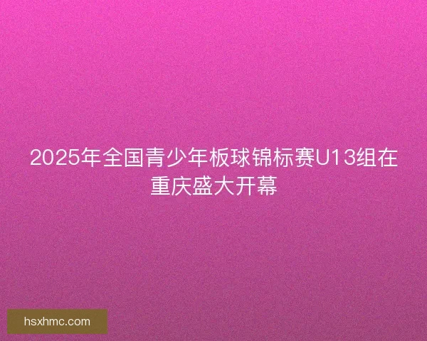 2025年全国青少年板球锦标赛U13组在重庆盛大开幕
