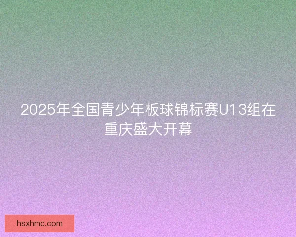 2025年全国青少年板球锦标赛U13组在重庆盛大开幕