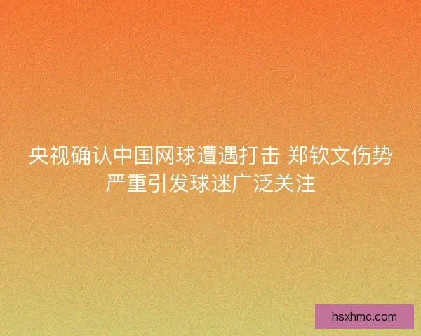 央视确认中国网球遭遇打击 郑钦文伤势严重引发球迷广泛关注