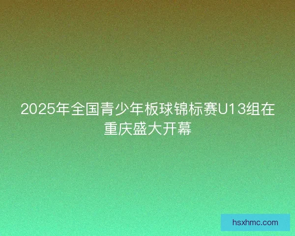 2025年全国青少年板球锦标赛U13组在重庆盛大开幕